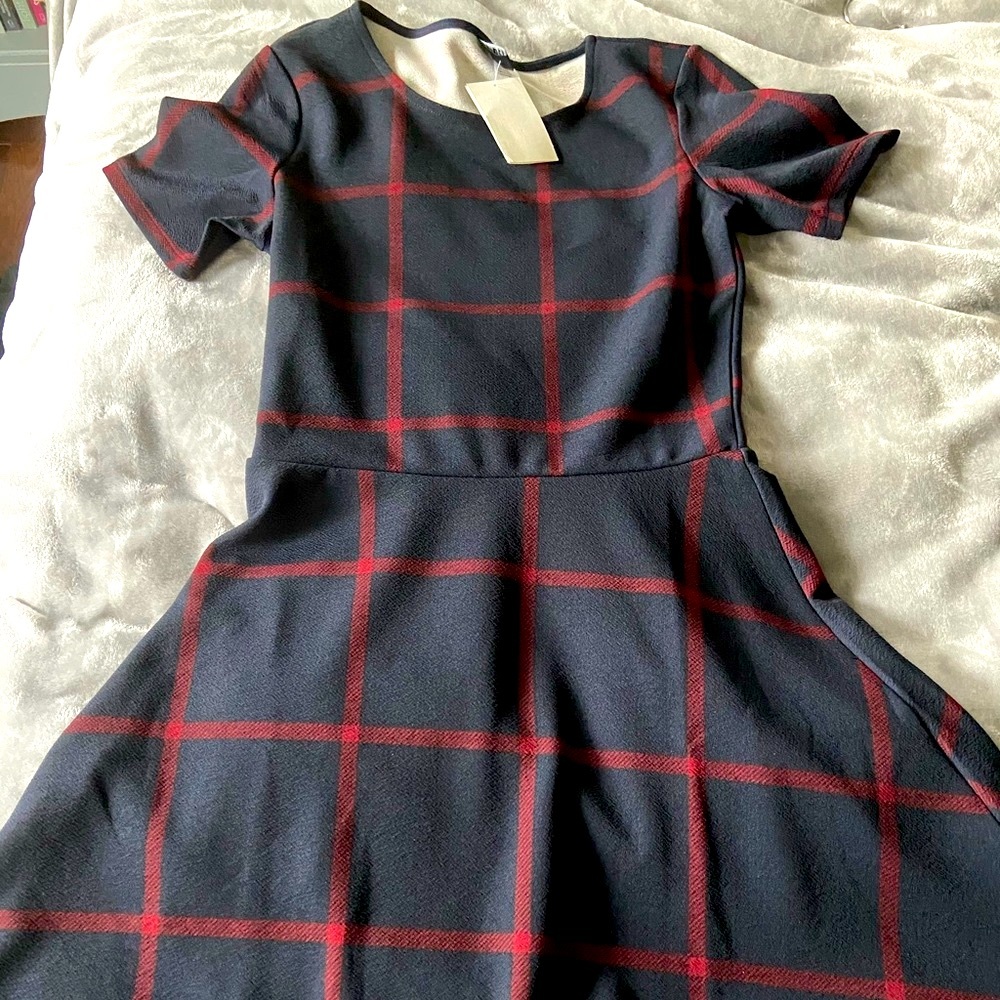 Plaid Navy and Red H&M Mini Dress
